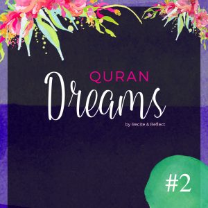 qdreams 2
